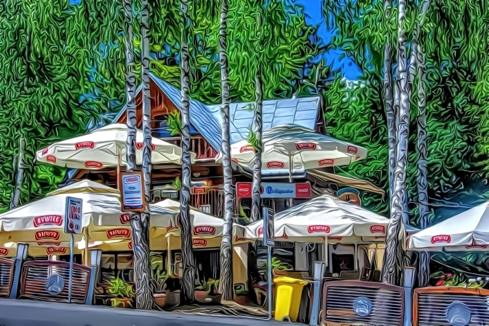 Galeria zdjęć - zdjęcie 17