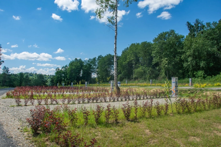 Galeria zdjęć - zdjęcie 15