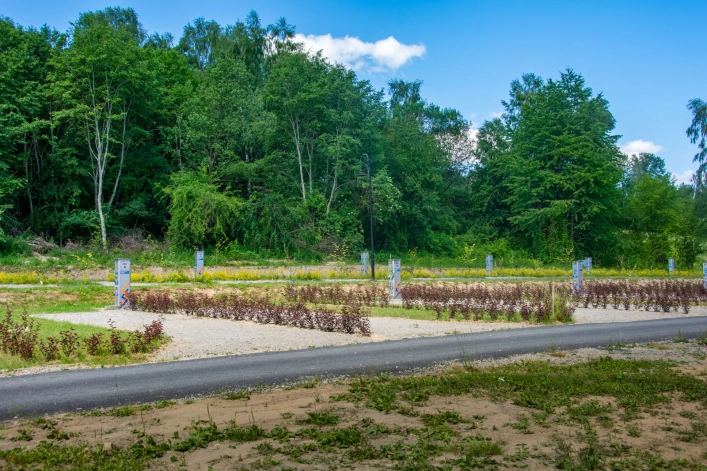 Galeria zdjęć - zdjęcie 13