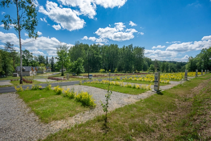 Galeria zdjęć - zdjęcie 12