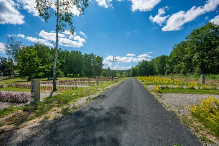 Galeria zdjęć - zdjęcie 11