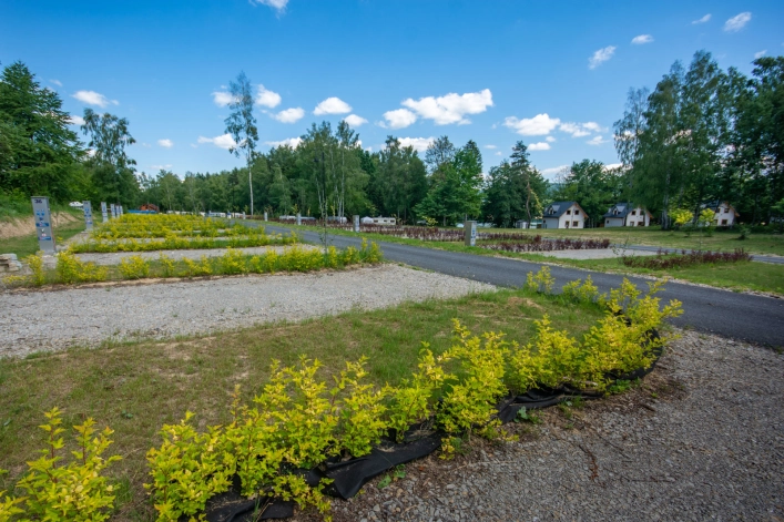 Galeria zdjęć - zdjęcie 8