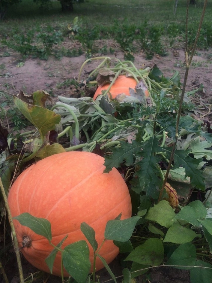 Galeria zdjęć - zdjęcie 9