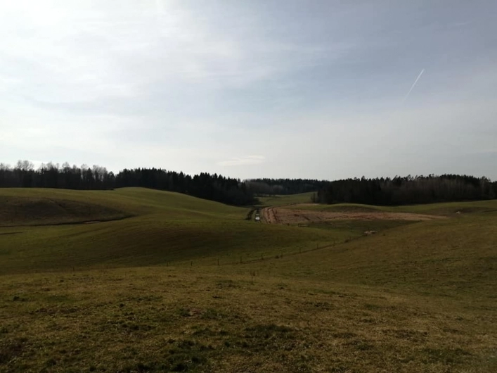 Galeria zdjęć - zdjęcie 10