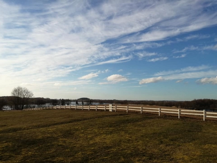 Galeria zdjęć - zdjęcie 13