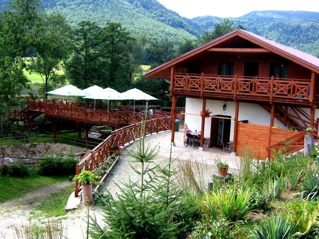 Galeria zdjęć - zdjęcie 8