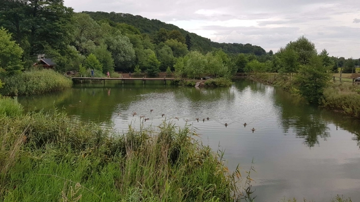 Galeria zdjęć - zdjęcie 15