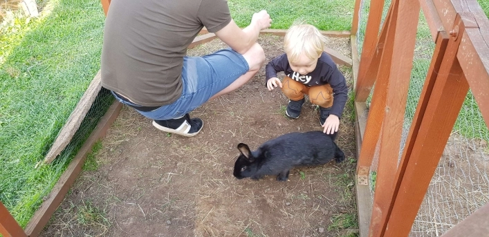 Galeria zdjęć - zdjęcie 19