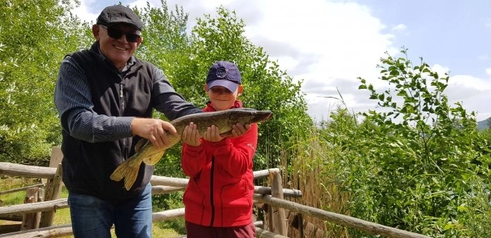 zobacz camping - zdjęcie 4