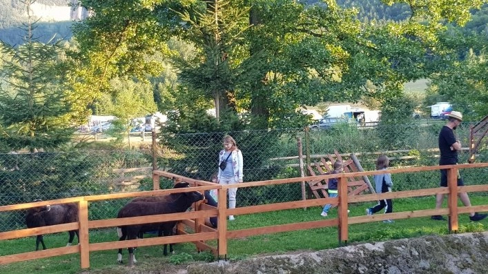 zobacz camping - zdjęcie 1