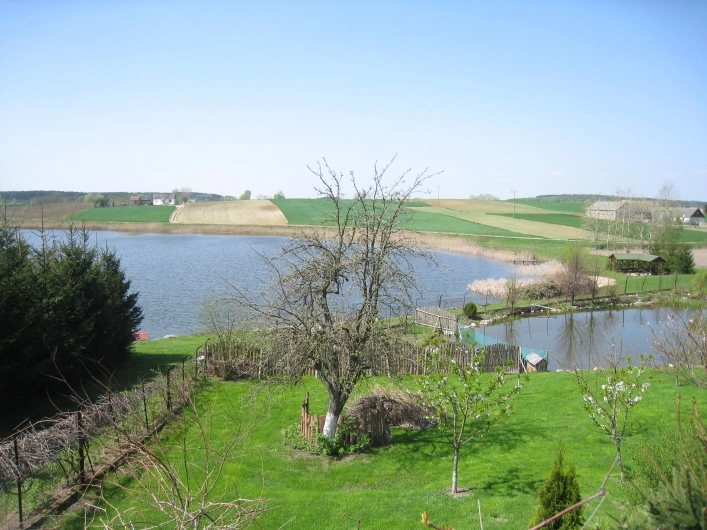 Galeria zdjęć - zdjęcie 5