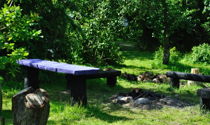 Camping Rodzinne wczasy pod gruszą Agnieszka Ziarkowska - zdjęcie 3