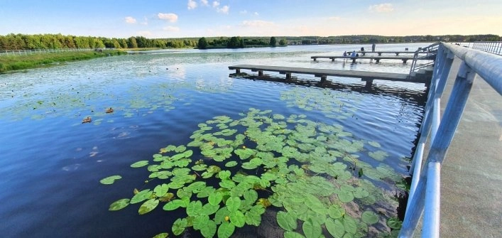 zobacz camping - zdjęcie 21