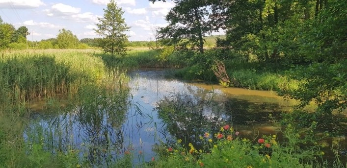 zobacz camping - zdjęcie 20