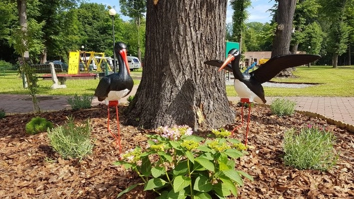 zobacz camping - zdjęcie 4