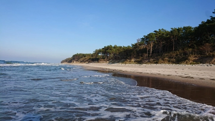 Galeria zdjęć - zdjęcie 6