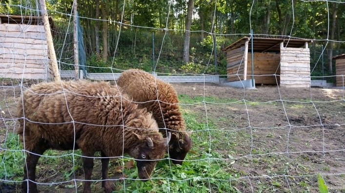 Ośrodek Wypoczynkowy Bachus - zdjęcie 2