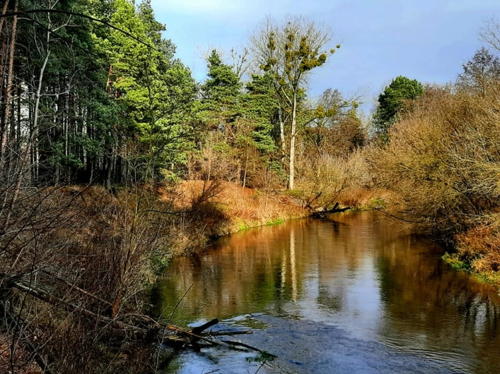 Pod Prąd - zdjęcie 2