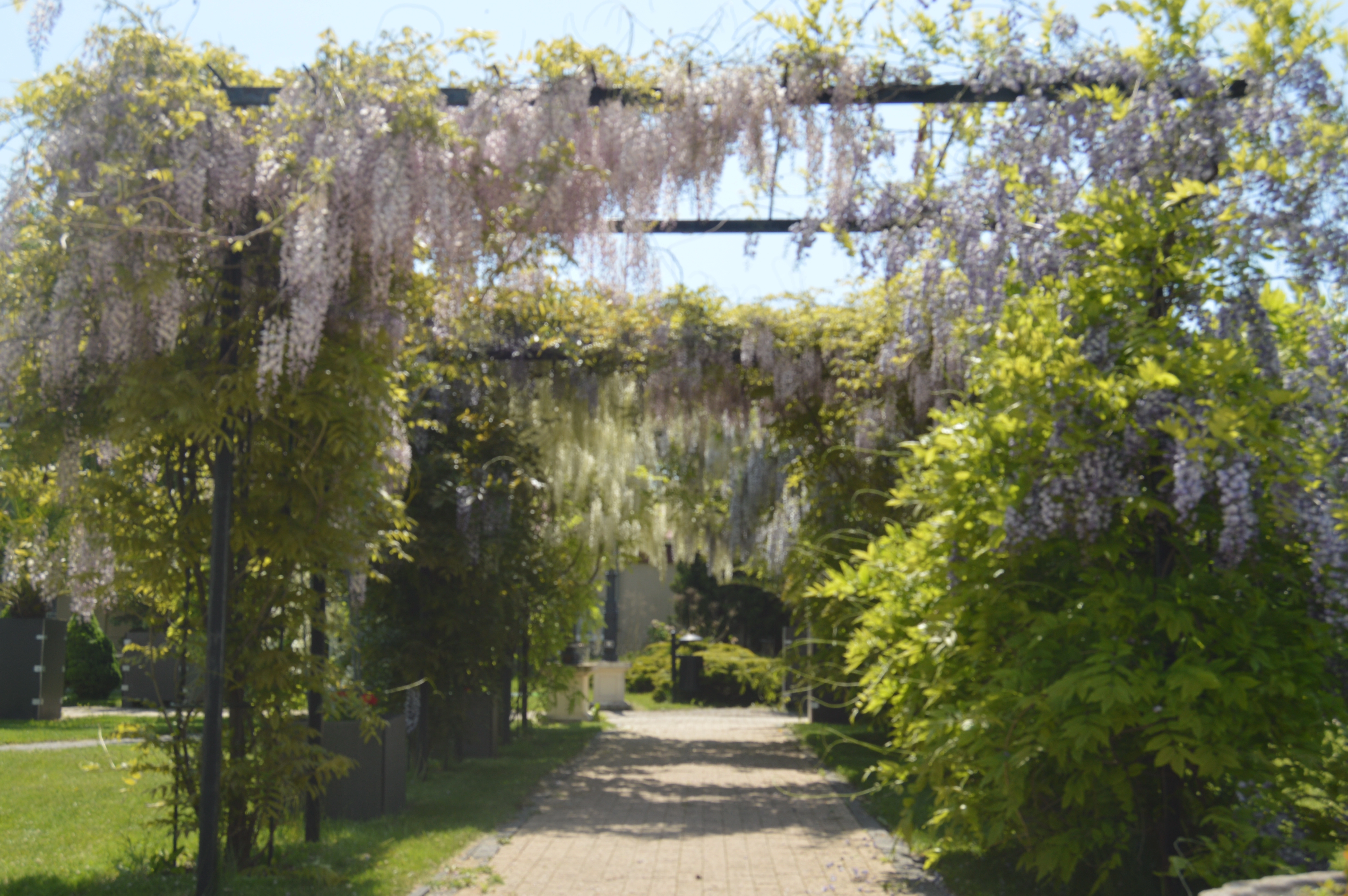 zobacz camping - zdjęcie 16