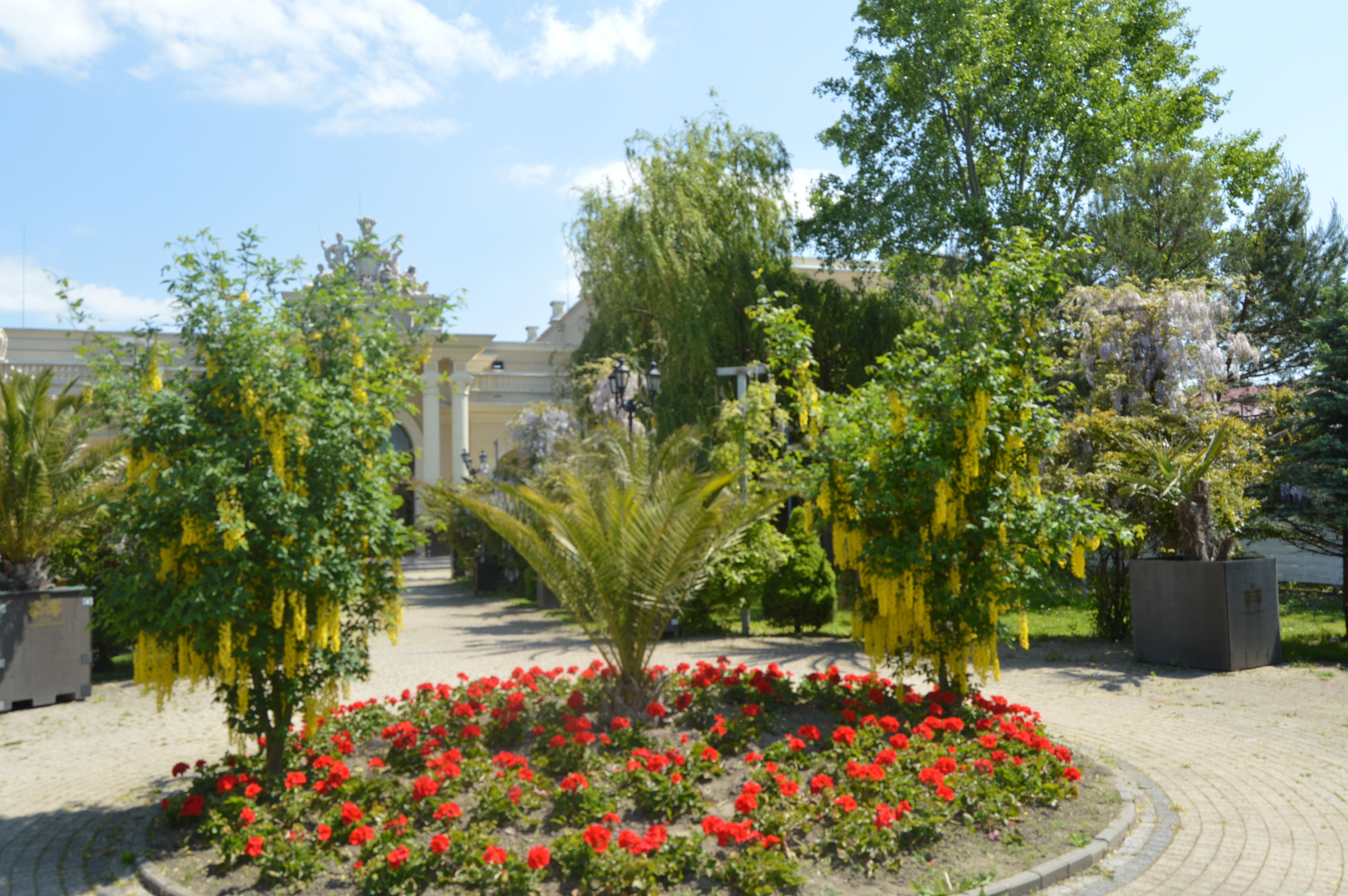 zobacz camping - zdjęcie 12