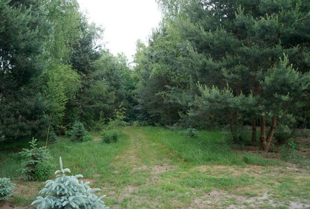 Galeria zdjęć - zdjęcie 30