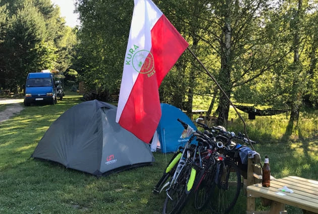 Galeria zdjęć - zdjęcie 31