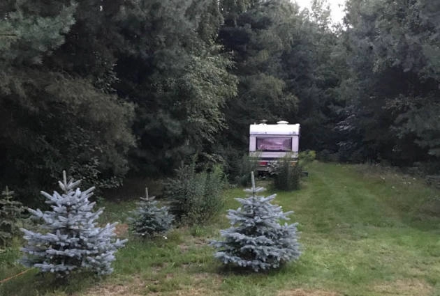 Camping Family Pole Namiotowe Kajaki - Łęknica - zdjęcie 1