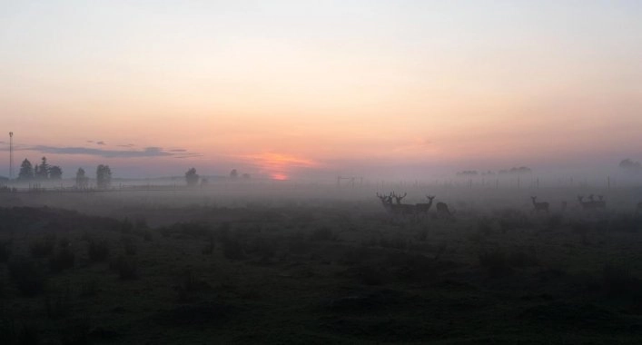 Dolina Dębów, Sosnówka - zdjęcie 3
