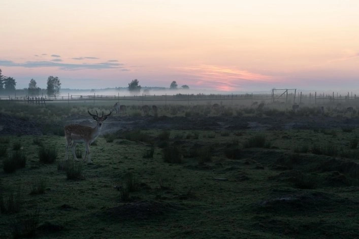 Dolina Dębów, Sosnówka - zdjęcie 1