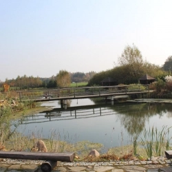 Galeria zdjęć - zdjęcie 8