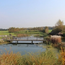 Galeria zdjęć - zdjęcie 9