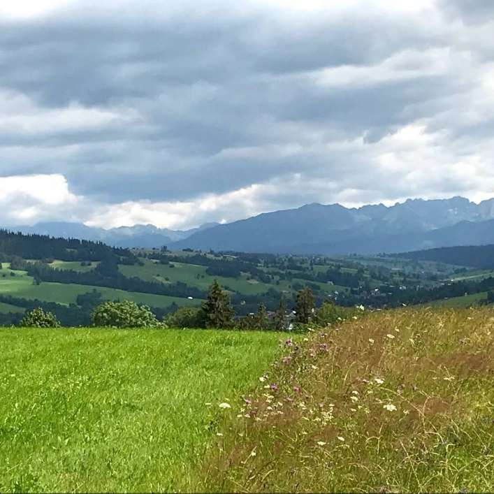 Galeria zdjęć - zdjęcie 1