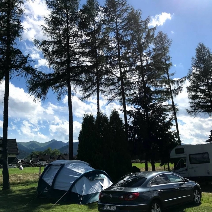 Galeria zdjęć - zdjęcie 6