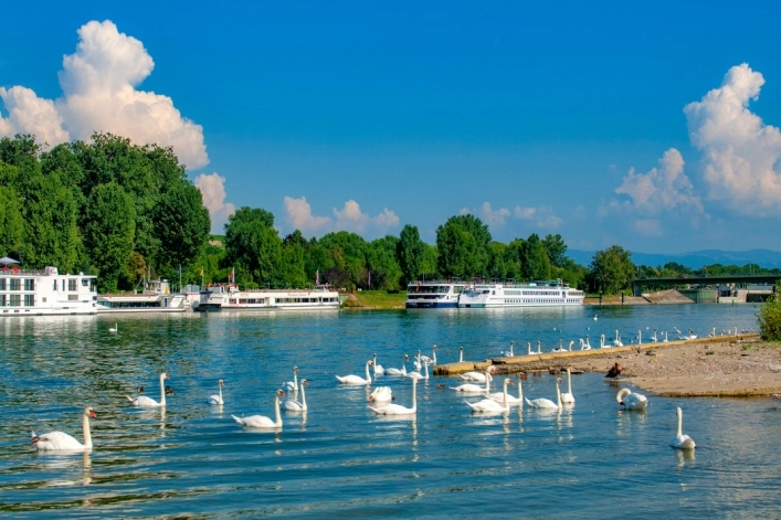 Wohnmobilstellplatz   Breisach - zdjęcie 7