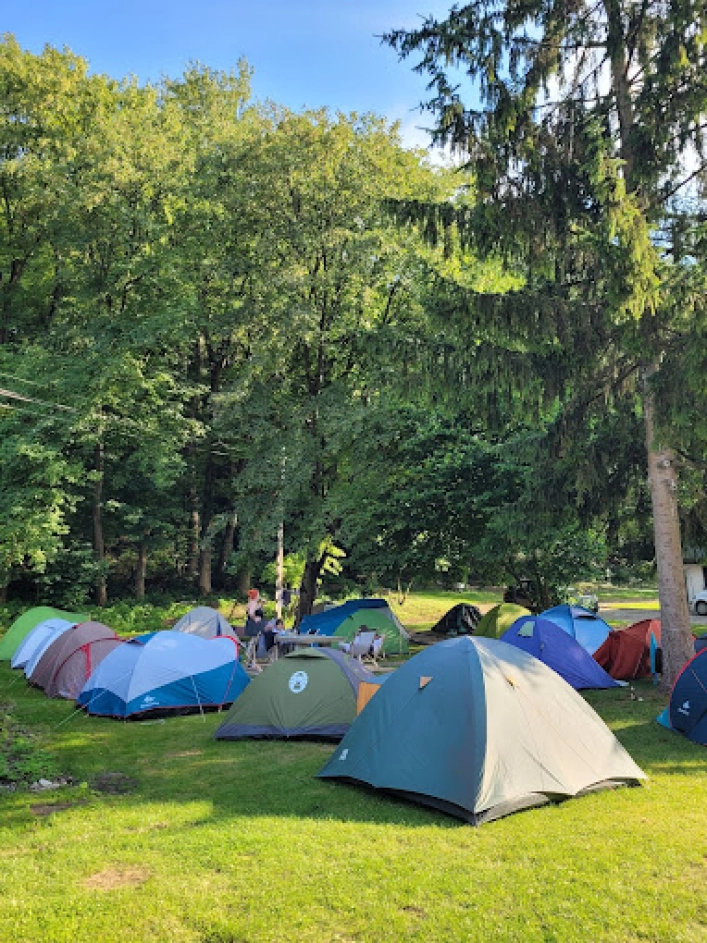 Galeria zdjęć - zdjęcie 6