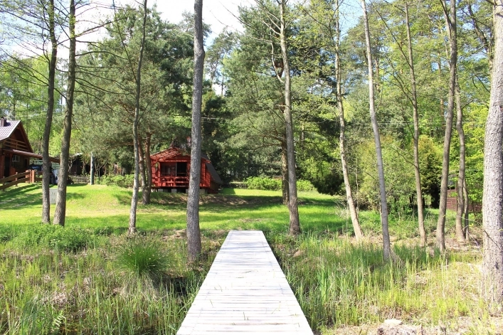 Galeria zdjęć - zdjęcie 7