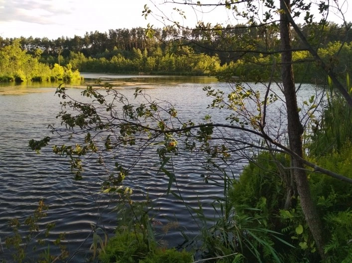 Camping "Dębno" Pojezierze Brodnickie - zdjęcie 2