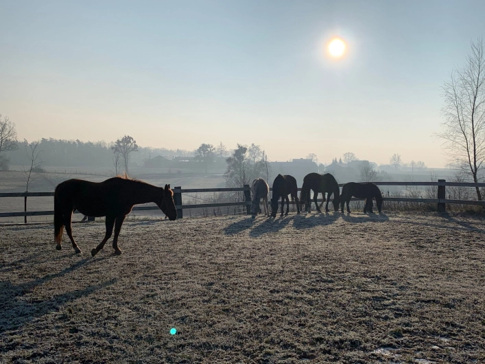 zobacz camping - zdjęcie 4