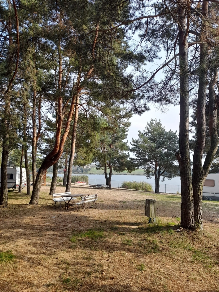 Siamoszyce kemping nr 244 - zdjęcie 2