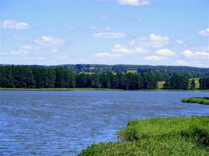 Galeria - zdjęcie 20