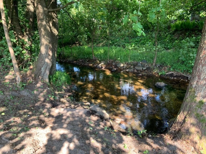 Galeria - zdjęcie 17