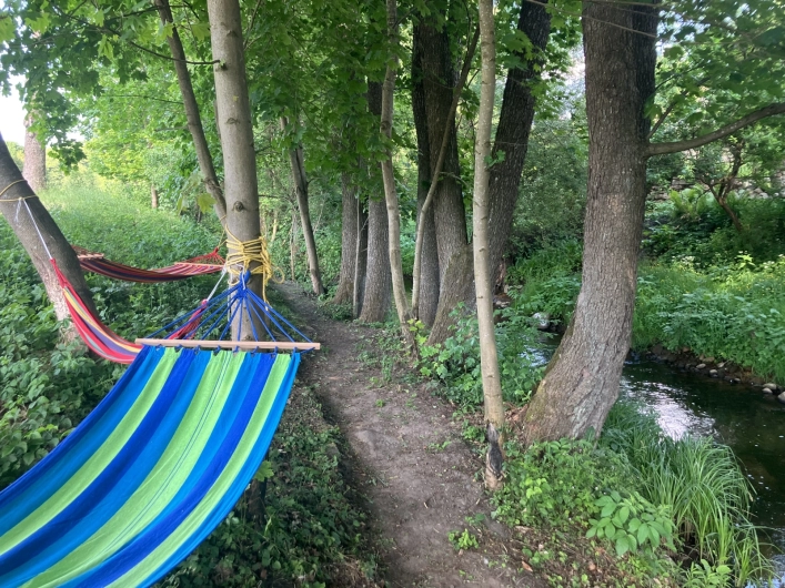 Galeria - zdjęcie 15