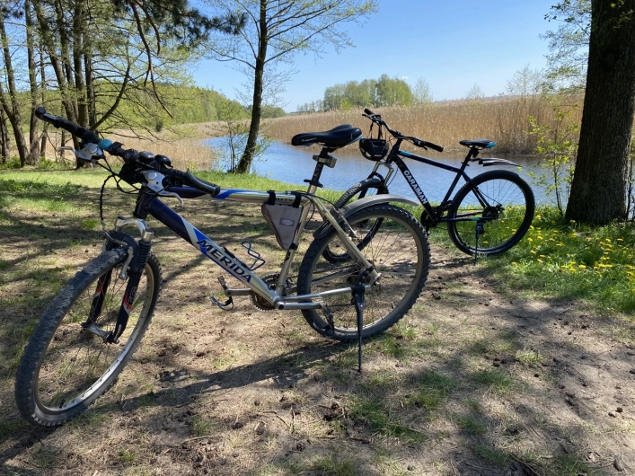 Galeria - zdjęcie 16