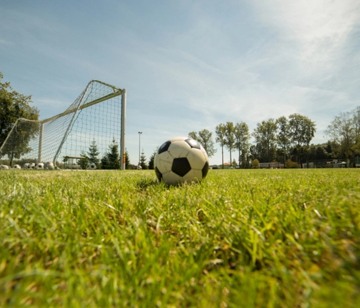 Galeria zdjęć - zdjęcie 28