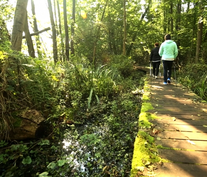 Galeria zdjęć - zdjęcie 30