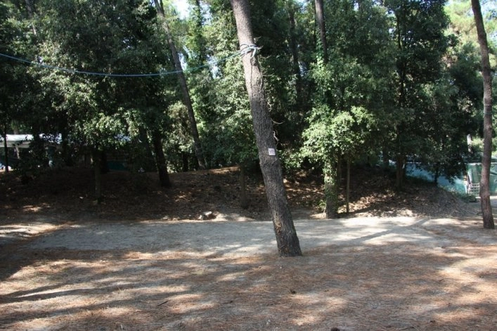 zobacz camping - zdjęcie 13