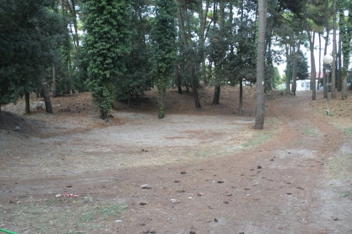 zobacz camping - zdjęcie 12