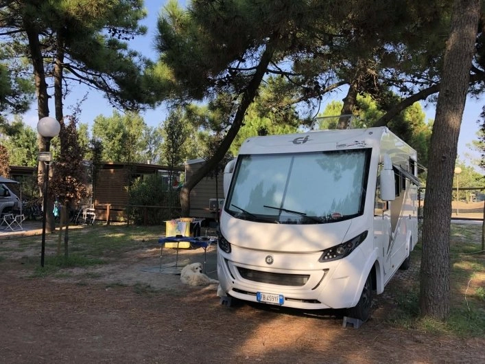 zobacz camping - zdjęcie 8