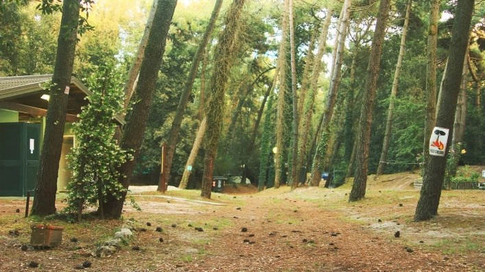 zobacz camping - zdjęcie 1