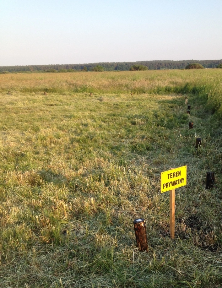 Galeria zdjęć - zdjęcie 1